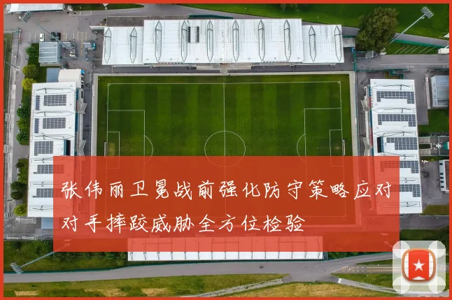 张伟丽卫冕战前强化防守策略应对对手摔跤威胁全方位检验